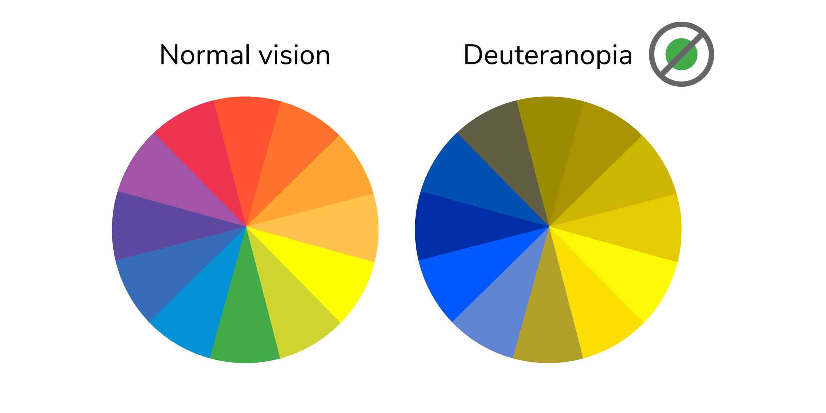 Colour Blindness and Vision Impairment Test